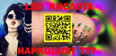 СК Краснознаменск