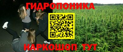 стаф Краснодар
