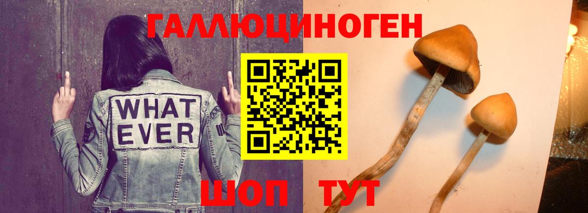 Марихуана  КОКАИН  Меф МЯУ МЯУ   ГАШ  Краснокаменск  Вход с VPN 
